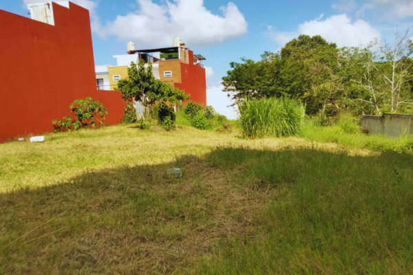Terreno Cedros